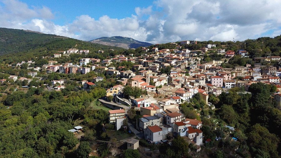 Veduta aerea di Gadoni, con le case del paese tra i boschi e il monte sullo sfondo